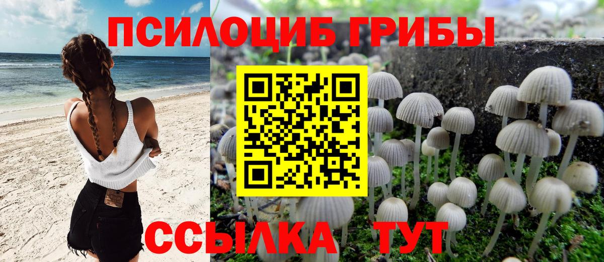 Галлюциногенные грибы прущие грибы Шадринск